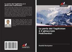 Couverture de La perla del Tagikistan è il ghiacciaio Fedchenko!
