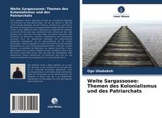 Portada del libro de Weite Sargassosee: Themen des Kolonialismus und des Patriarchats