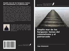 Bookcover of Amplio mar de los Sargazos: temas del colonialismo y el patriarcado