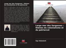 Large mer des Sargasses : thèmes du colonialisme et du patriarcat的封面