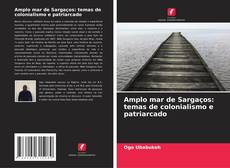 Bookcover of Amplo mar de Sargaços: temas de colonialismo e patriarcado