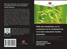 Capa do livro de Effet des herbicides sur la croissance et le rendement du riz et des mauvaises herbes associées 
