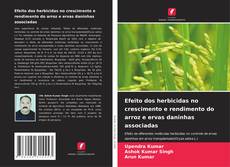 Обложка Efeito dos herbicidas no crescimento e rendimento do arroz e ervas daninhas associadas