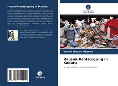 Bookcover of Hausmüllentsorgung in Kadutu