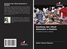 Bookcover of Gestione dei rifiuti domestici a Kadutu