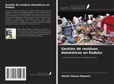 Copertina di Gestión de residuos domésticos en Kadutu