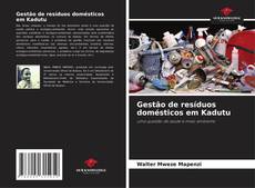 Bookcover of Gestão de resíduos domésticos em Kadutu
