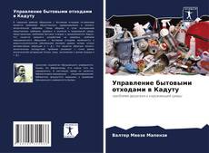 Buchcover von Управление бытовыми отходами в Кадуту