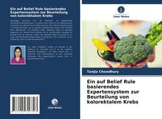 Buchcover von Ein auf Belief Rule basierendes Expertensystem zur Beurteilung von kolorektalem Krebs