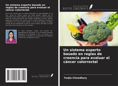 Bookcover of Un sistema experto basado en reglas de creencia para evaluar el cáncer colorrectal