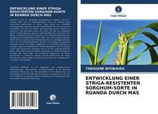 ENTWICKLUNG EINER STRIGA-RESISTENTEN SORGHUM-SORTE IN RUANDA DURCH MAS的封面