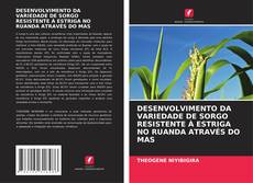 Bookcover of DESENVOLVIMENTO DA VARIEDADE DE SORGO RESISTENTE À ESTRIGA NO RUANDA ATRAVÉS DO MAS