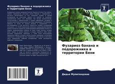 Bookcover of Фузариоз банана и подорожника в территории Бени