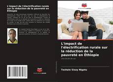Copertina di L'impact de l'électrification rurale sur la réduction de la pauvreté en Éthiopie