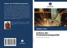 Buchcover von Indizes der Produktionskapazität