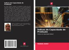 Bookcover of Índices de Capacidade de Produção