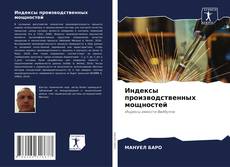 Bookcover of Индексы производственных мощностей