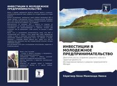 Bookcover of ИНВЕСТИЦИИ В МОЛОДЕЖНОЕ ПРЕДПРИНИМАТЕЛЬСТВО