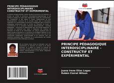PRINCIPE PÉDAGOGIQUE INTERDISCIPLINAIRE - CONSTRUCTIF ET EXPÉRIMENTAL的封面
