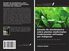 Capa do livro de Estudio de etnobotánica sobre plantas medicinales tradicionales utilizadas por indígenas 