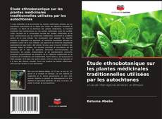 Buchcover von Étude ethnobotanique sur les plantes médicinales traditionnelles utilisées par les autochtones