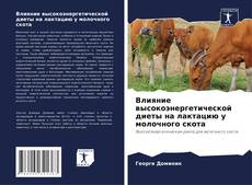 Bookcover of Влияние высокоэнергетической диеты на лактацию у молочного скота