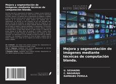 Bookcover of Mejora y segmentación de imágenes mediante técnicas de computación blanda.
