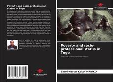 Обложка Poverty and socio-professional status in Togo