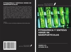 Buchcover von FITOQUÍMICA Y SÍNTESIS VERDE DE NANOPARTÍCULAS