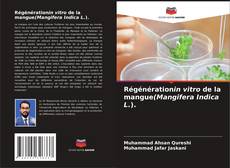 Couverture de Régénérationin vitro de la mangue(Mangifera Indica L.).