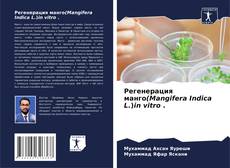 Bookcover of Регенерация манго(Mangifera Indica L.)in vitro .