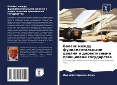 Bookcover of Баланс между фундаментальными целями и директивными принципами государства
