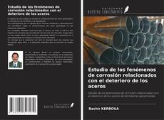 Bookcover of Estudio de los fenómenos de corrosión relacionados con el deterioro de los aceros
