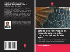 Bookcover of Estudo dos fenómenos de corrosão relacionados com a deterioração dos aços