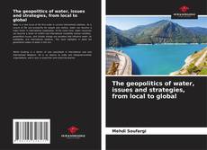Обложка The geopolitics of water, issues and strategies, from local to global