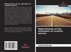 Portada del libro de Determinants of low utilization of curative service