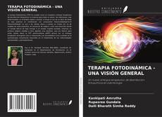 Buchcover von TERAPIA FOTODINÁMICA - UNA VISIÓN GENERAL