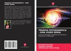 Bookcover of TERAPIA FOTODINÂMICA - UMA VISÃO GERAL