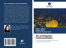 Capa do livro de Die wichtigsten Liefermethoden 