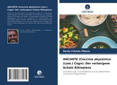 Borítókép a  ANCHOTE (Coccinia abyssinica (Lam.) Cogn): Der verborgene Schatz Äthiopiens - hoz