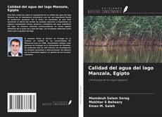 Bookcover of Calidad del agua del lago Manzala, Egipto