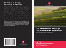 Um Manual de Recarga Gerenciada de Aquíferos的封面