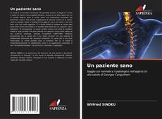 Capa do livro de Un paziente sano 