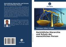 Bookcover of Gerichtliche Hierarchie und Schutz der menschlichen Person
