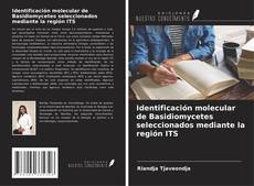 Capa do livro de Identificación molecular de Basidiomycetes seleccionados mediante la región ITS 