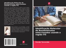 Bookcover of Identificação Molecular de Basidiomicetos seleccionados usando a região ITS