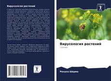 Bookcover of Вирусология растений