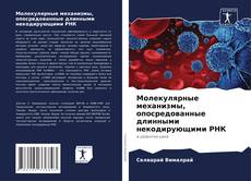 Молекулярные механизмы, опосредованные длинными некодирующими РНК kitap kapağı