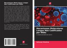 Bookcover of Mecanismos Moleculares Longos Não Codificados por RNAs