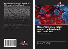 Meccanismi molecolari mediati da RNA lunghi non codificanti的封面